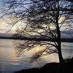 Faergegaarden Fåborg