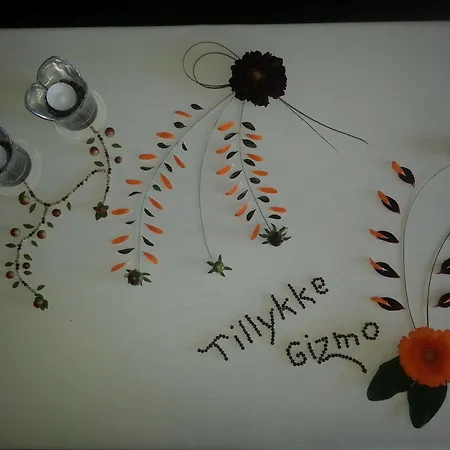 Faergegaarden Фоборг